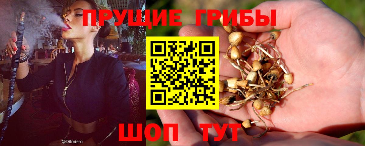 Галлюциногенные грибы ЛСД Артём